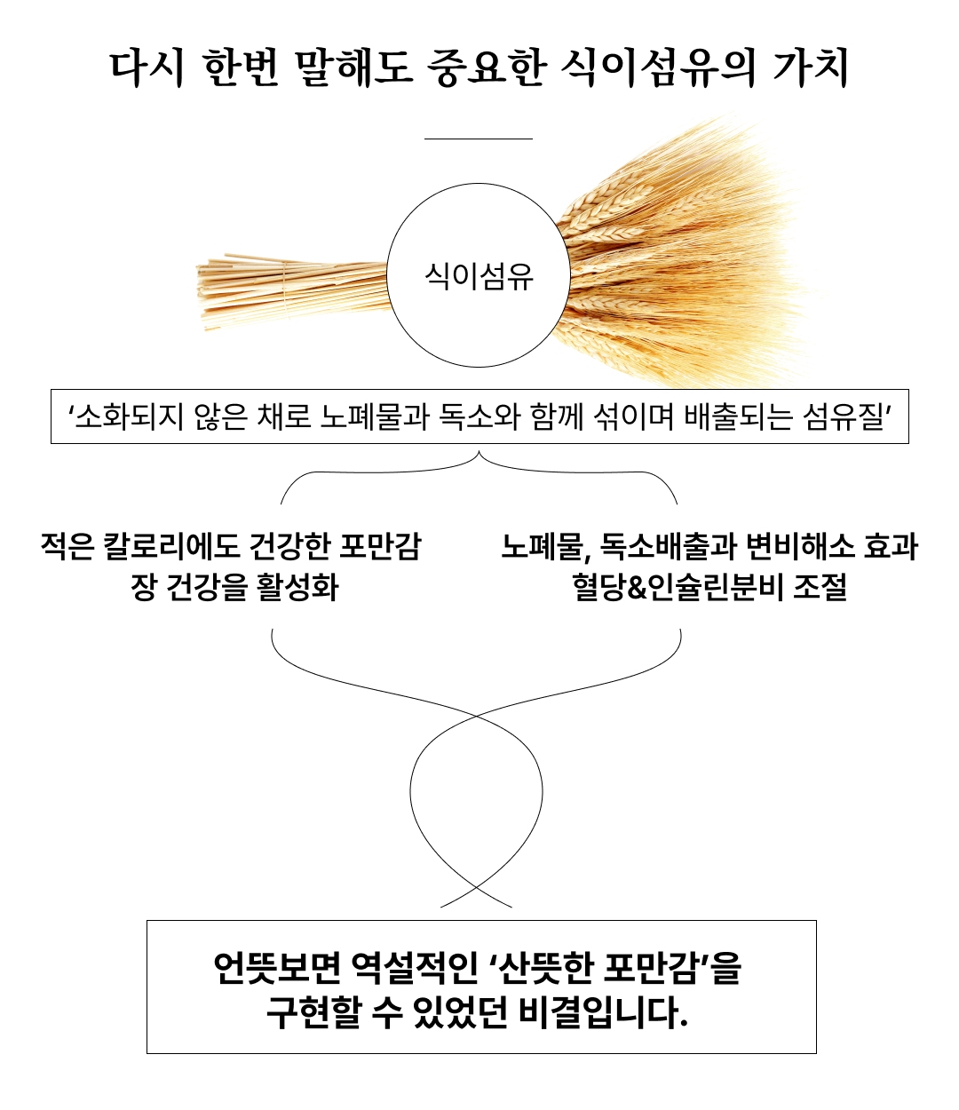 식이섬유의 중요성과 효과에 대한 설명 이미지 : 다시 한번 말해도 중요한 식이섬유의 가치 식이섬유 '소화되지 않은 채로 노폐물과 독소와 함께 쉬이며 배출되는 섬유질'