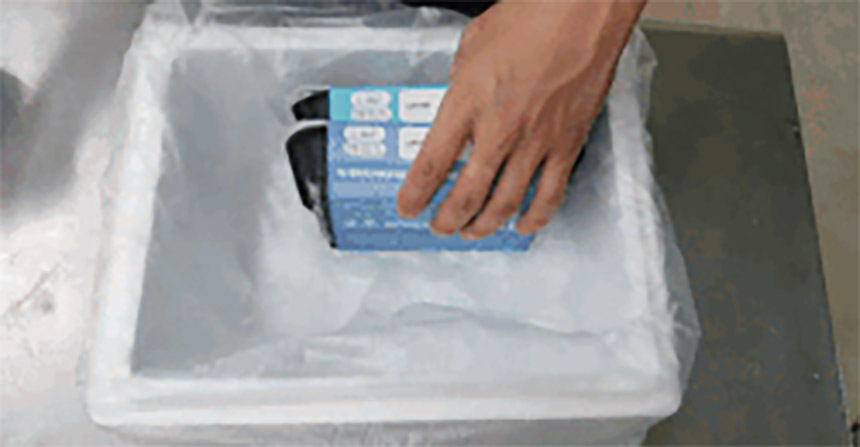 아이스팩을 스티로폼 상자에 넣는 모습 : Ice pack visible in styrofoam container