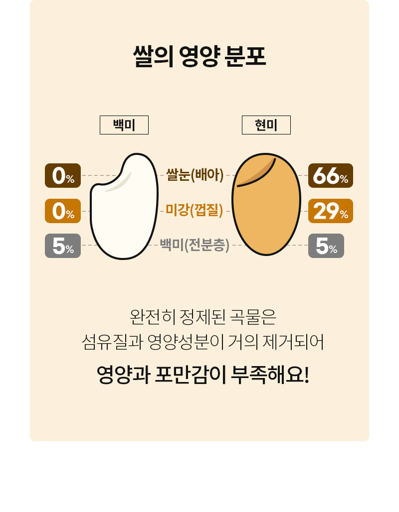 쌀의 백미와 현미 영양 성분 비교 도표 : 쌀의 영양 분포 백미 현미 쌀눈(배아) 미강(겨질) 백미(전분층)