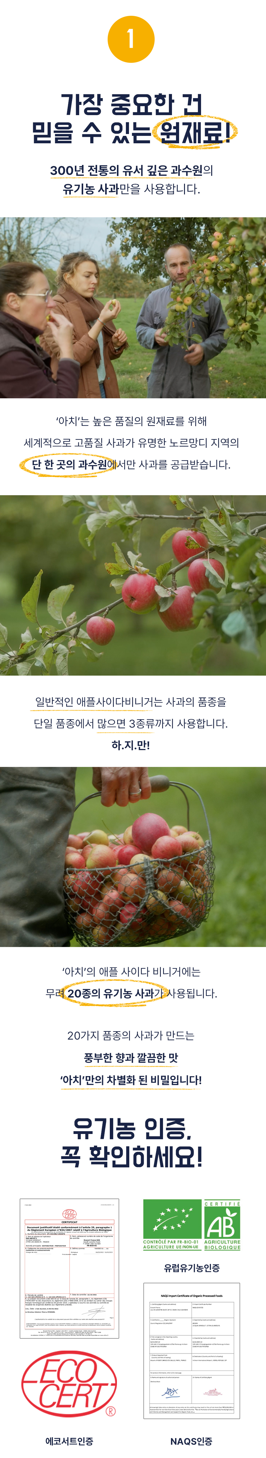 라즈베리 열매와 유기농 인증에 대한 정보를 담은 광고 이미지 : 가장 풍부한 맛 향을 주는 라즈베리! 유기농 인증 획득