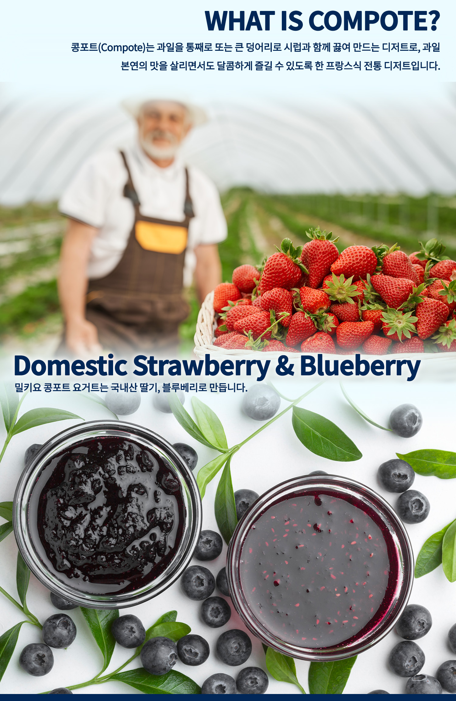 콤포트: 국내산 딸기와 블루베리로 만든 과일 디저트 : WHAT IS COMPOTE? Domestic Strawberry & Blueberry
