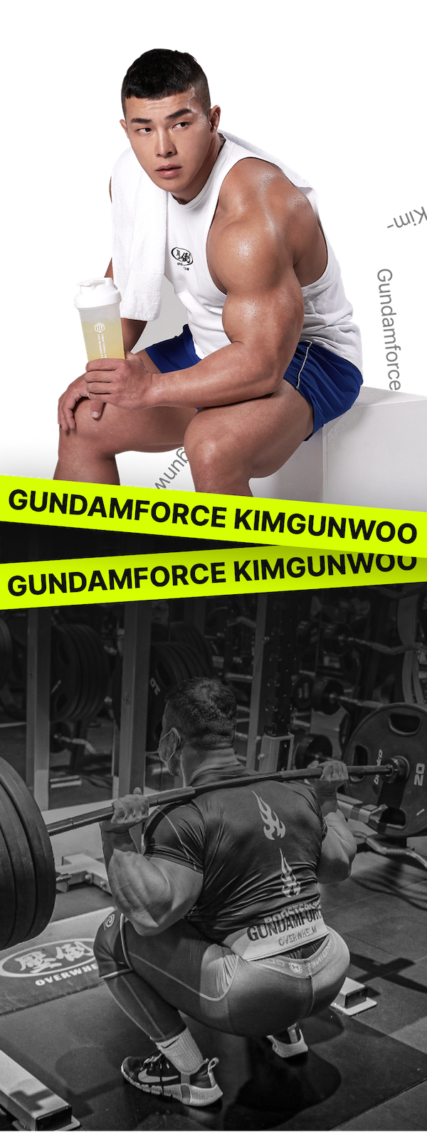 https://media.hity.io/gundamforce/cover.png