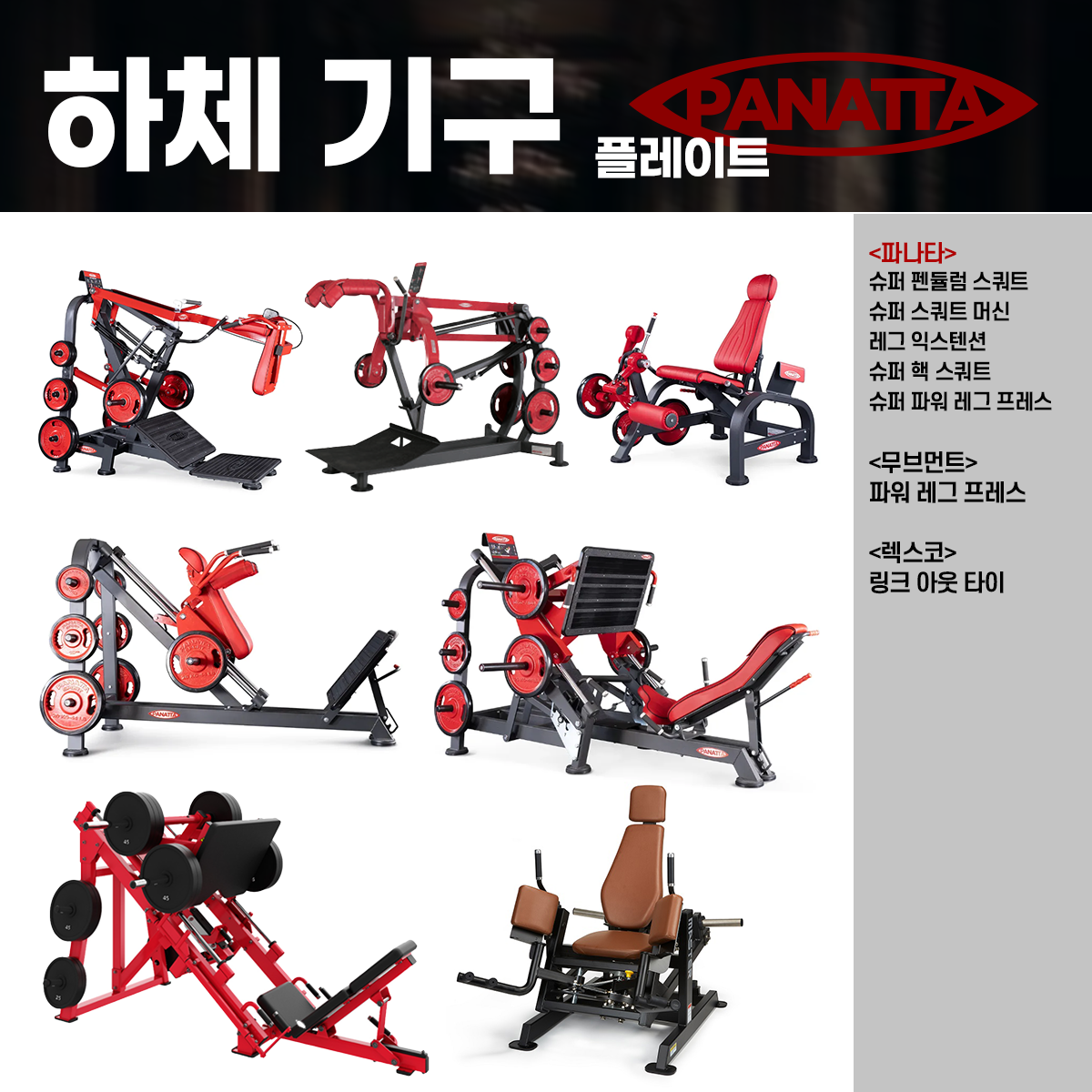 https://media.hity.io/prod_1f3b55d5-6486-492a-901d-458343548f8f하체라인업.png