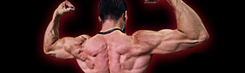 바벨라토르 MALL