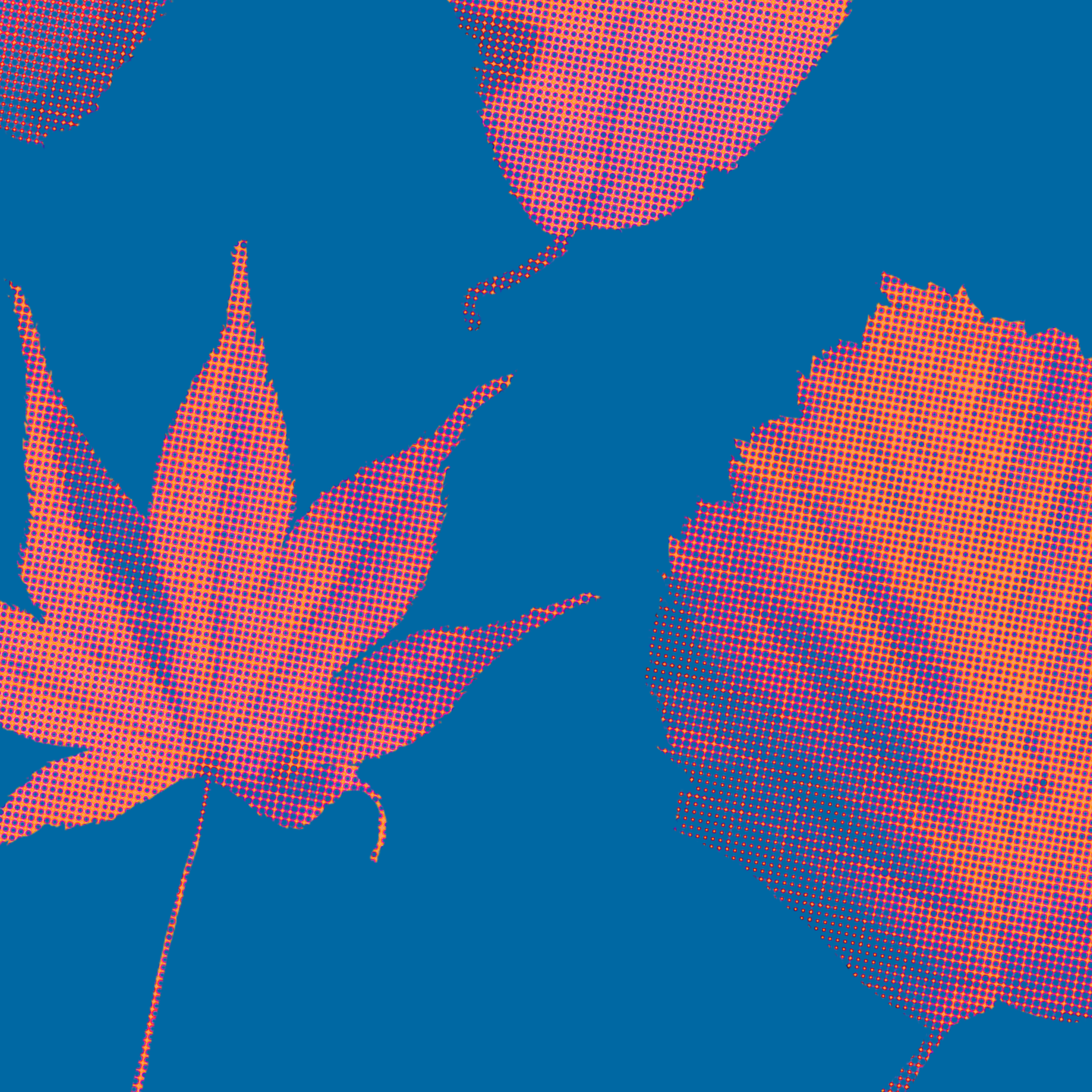 https://media.hity.io/prod_8111243b-5ad4-4055-aa06-c46d054922b0Test2.png