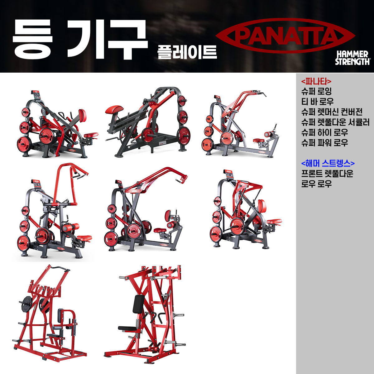 https://media.hity.io/prod_d3f2def2-a636-4018-b6a1-8ce5a7ad23b1등플레이트라인업.png